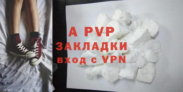 стаф Баксан