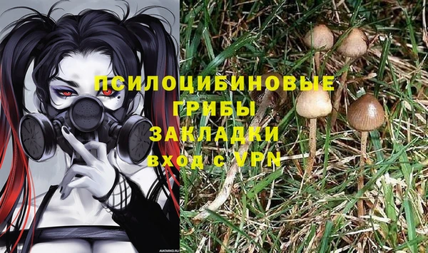 твердый Балабаново