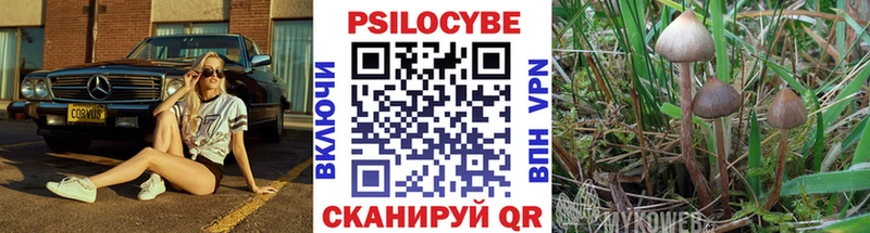 mega tor  Энем  Галлюциногенные грибы MAGIC MUSHROOMS  что такое  